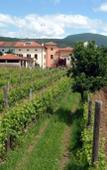 Туры в отель Agriturismo Grillo Iole