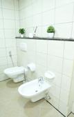 Туры в отель Hawana Premium Hostel