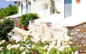 Туры в отель Petra Nera Skiathos