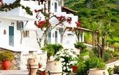 Туры в отель Petra Nera Skiathos