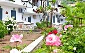 Туры в отель Petra Nera Skiathos