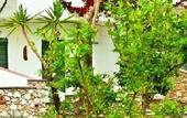 Туры в отель Petra Nera Skiathos