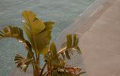 Туры в отель Mon Signor Hotel Adults Only