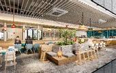 Туры в отель Grids Premium Hotel Kumamoto