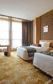 Туры в отель Howard Johnson Puhui Plaza Chongqing Qijiang