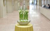 Туры в отель HOTEL NEWITAYA