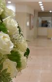 Туры в отель HOTEL NEWITAYA