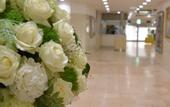 Туры в отель HOTEL NEWITAYA