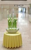 Туры в отель HOTEL NEWITAYA