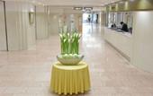 Туры в отель HOTEL NEWITAYA