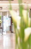 Туры в отель HOTEL NEWITAYA