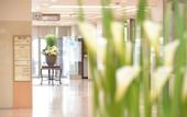 Туры в отель HOTEL NEWITAYA