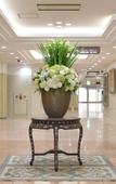 Туры в отель HOTEL NEWITAYA