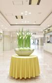Туры в отель HOTEL NEWITAYA