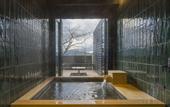 Туры в отель RakutenSTAY FUJIMITERRACE HakoneAshinoko