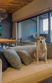 Туры в отель RakutenSTAY FUJIMITERRACE HakoneAshinoko