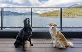 Туры в отель RakutenSTAY FUJIMITERRACE HakoneAshinoko