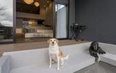Туры в отель RakutenSTAY FUJIMITERRACE HakoneAshinoko