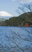 Туры в отель RakutenSTAY FUJIMITERRACE HakoneAshinoko