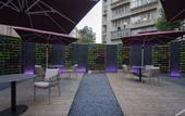 Туры в отель NOVOTEL KUNMING CITY CENTER