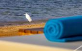 Туры в отель AJIRA Resort Sahl Hashish