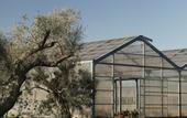 Туры в отель Secolario Masseria Del Viverbene