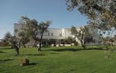 Туры в отель Secolario Masseria Del Viverbene