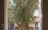 Туры в отель Secolario Masseria Del Viverbene