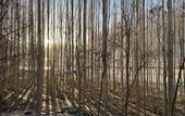 Туры в отель Khoj Resorts Shigar