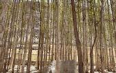 Туры в отель Khoj Resorts Shigar