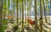Туры в отель Khoj Resorts Shigar