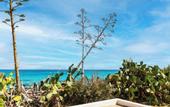 Туры в отель Amasea Resort