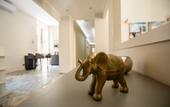 Туры в отель Lifestyle and Suites