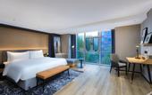 Туры в отель Park Inn by Radisson Hotel (DeBai Plaza Branch, Yucheng High tech Zone)