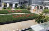 Туры в отель Park Inn by Radisson Hotel (DeBai Plaza Branch, Yucheng High tech Zone)