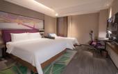 Туры в отель Hampton by Hilton Shenyang Shenbei University Park