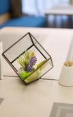 Туры в отель Homeinn Selected Hotel (Shanghai Ninth People's Hospital North Branch Baosteel Industrial Park)