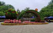 Туры в отель Country inn&Suites by Radisson(Shandong International Convention and Exhibition Center )