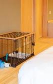 Туры в отель Hotel Shikinoyakata Hakone Ashinoko