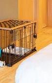 Туры в отель Hotel Shikinoyakata Hakone Ashinoko