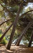 Туры в отель Four Seasons Mallorca at Formentor