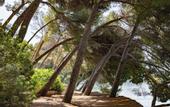 Туры в отель Four Seasons Mallorca at Formentor
