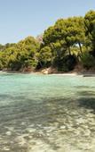 Туры в отель Four Seasons Mallorca at Formentor