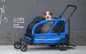 Туры в отель hotel anddoggy Kyoto Nijo