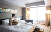 Туры в отель hotel anddoggy Kyoto Nijo