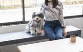 Туры в отель hotel anddoggy Kyoto Nijo