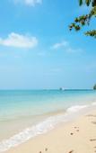 Туры в отель Blue Bay Resort
