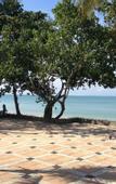 Туры в отель Blue Bay Resort