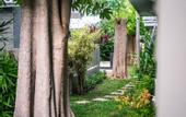 Туры в отель Luna Hut Resort Hua Hin