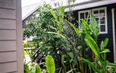 Туры в отель Luna Hut Resort Hua Hin